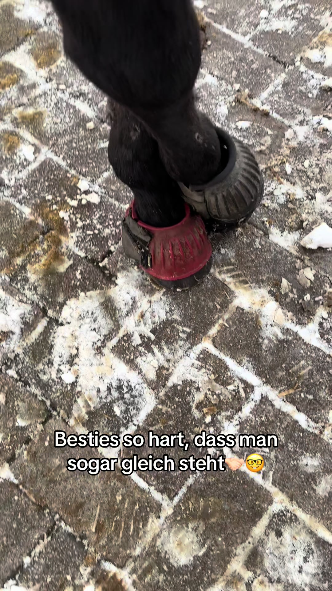 @hanni_bogi