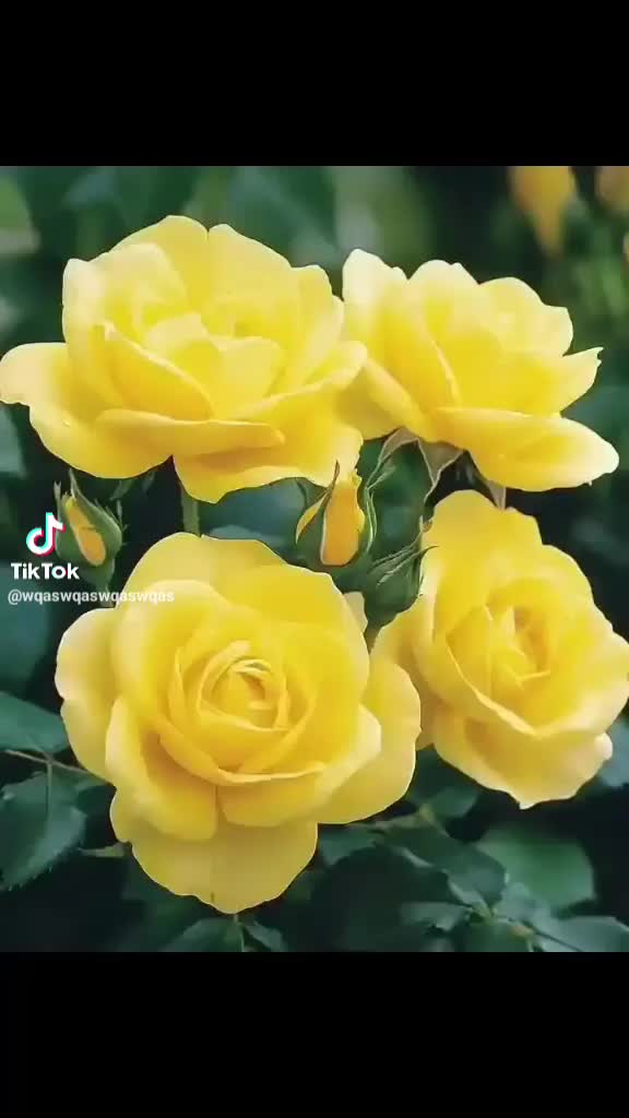 @༄ᶦᶰᵈ ᘻS ࿐