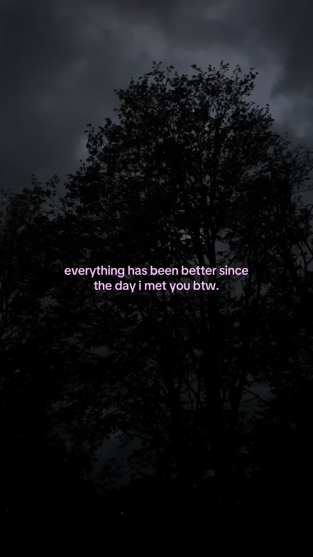 @✧