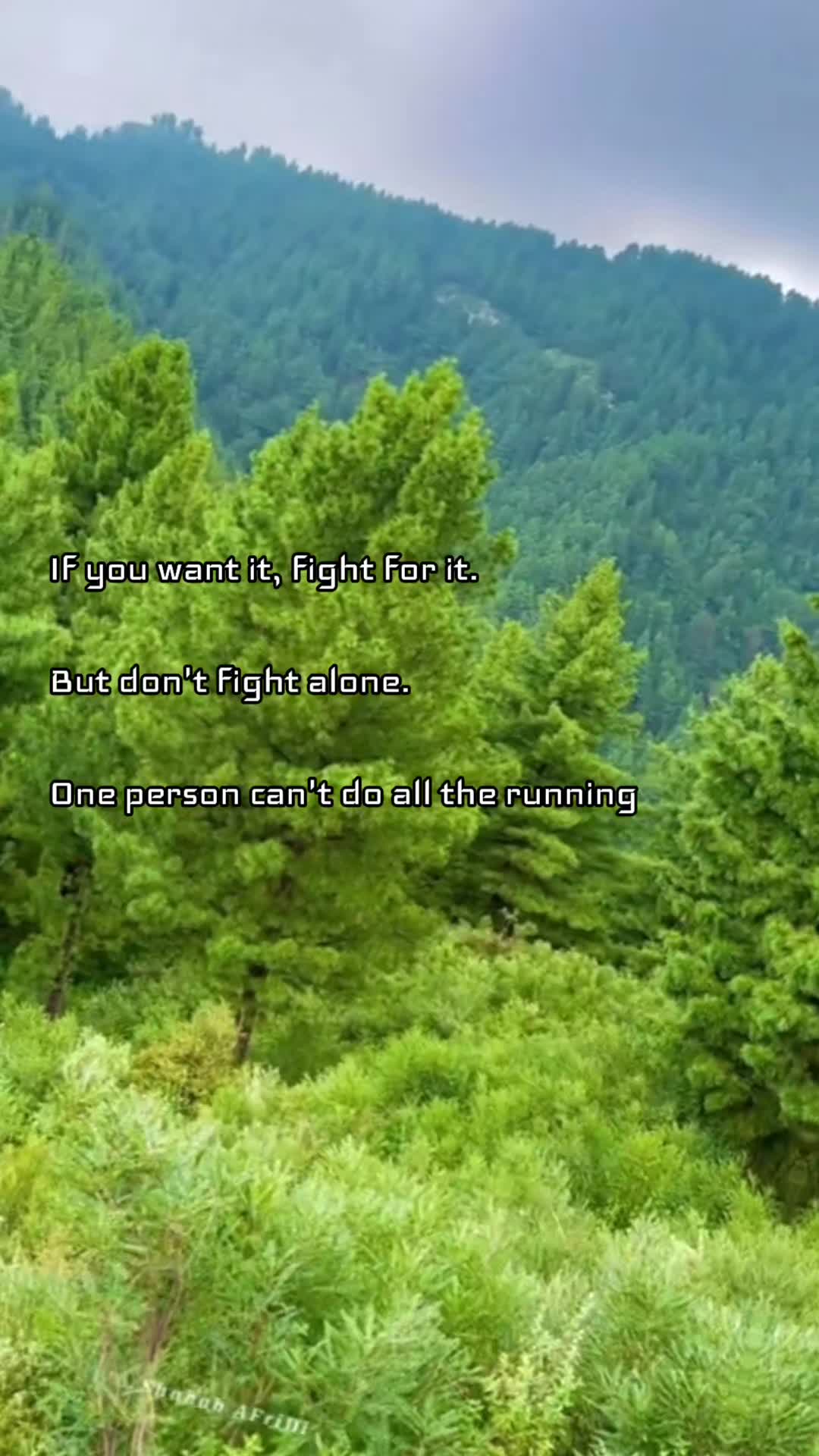 @Findingpeace