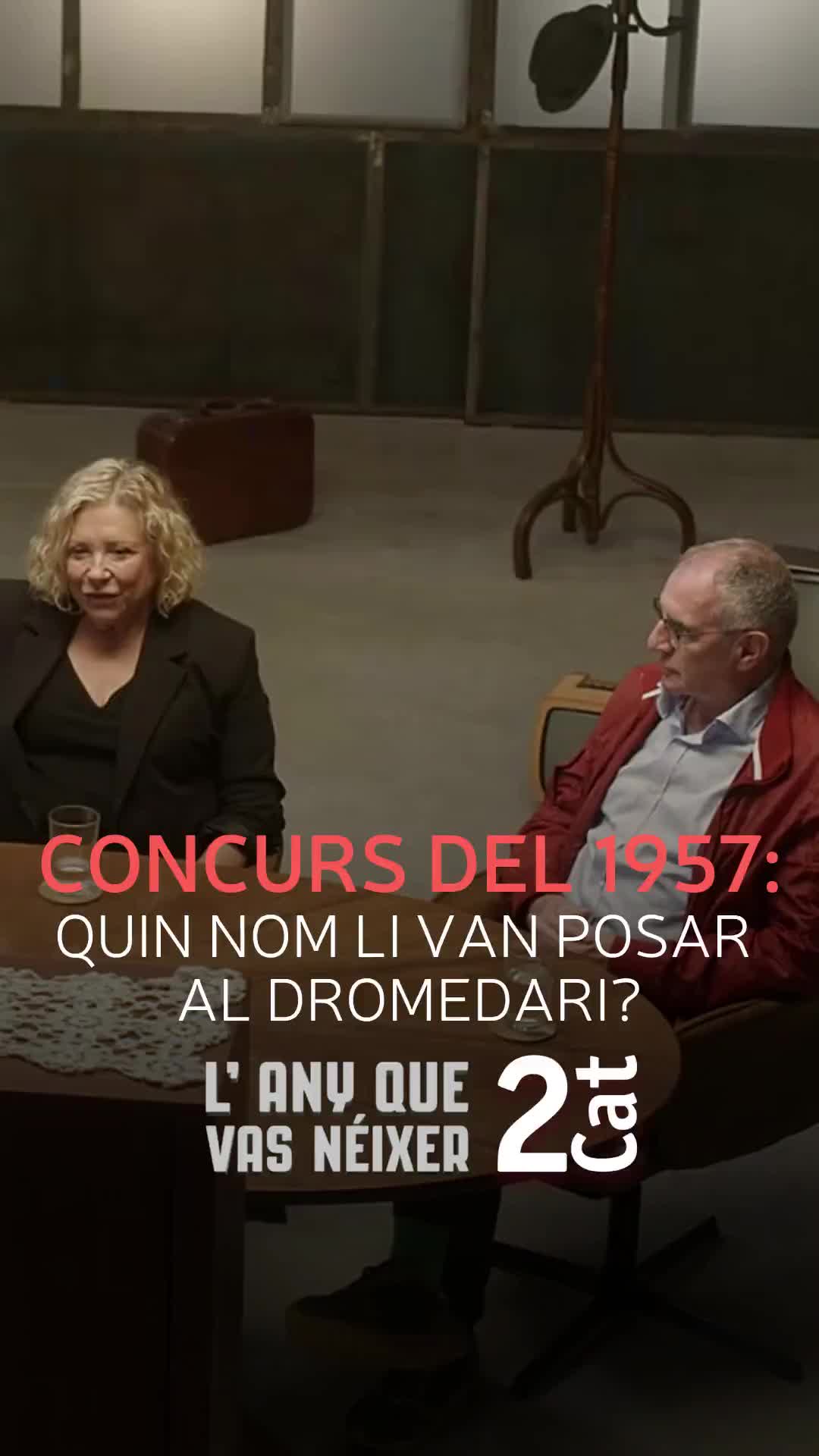 @RTVE Catalunya