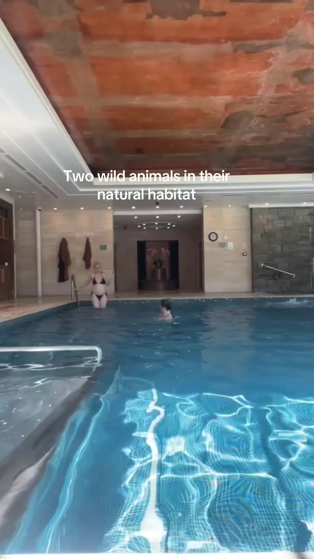 @swaninpink