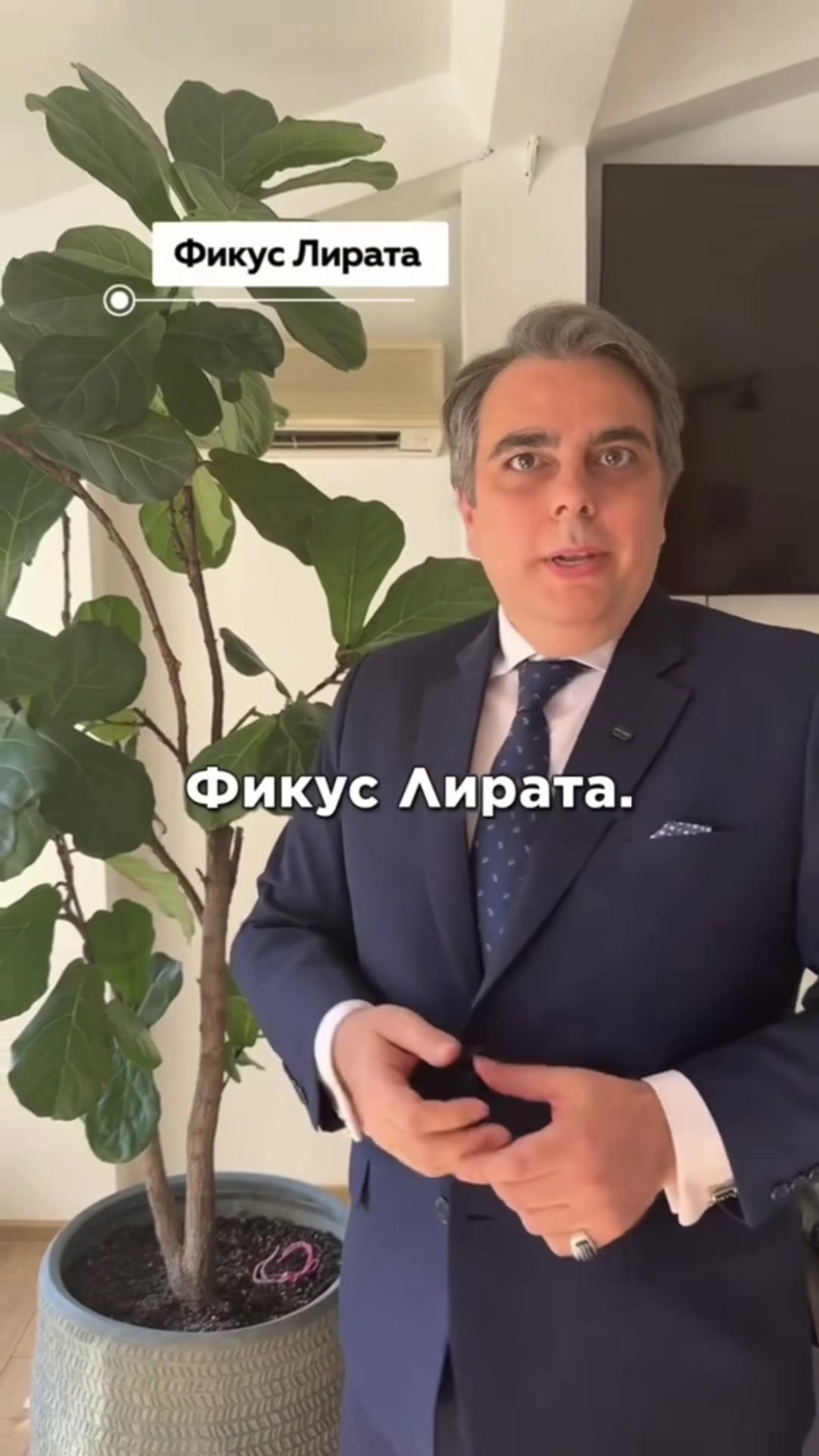@Plamen Nikolov
