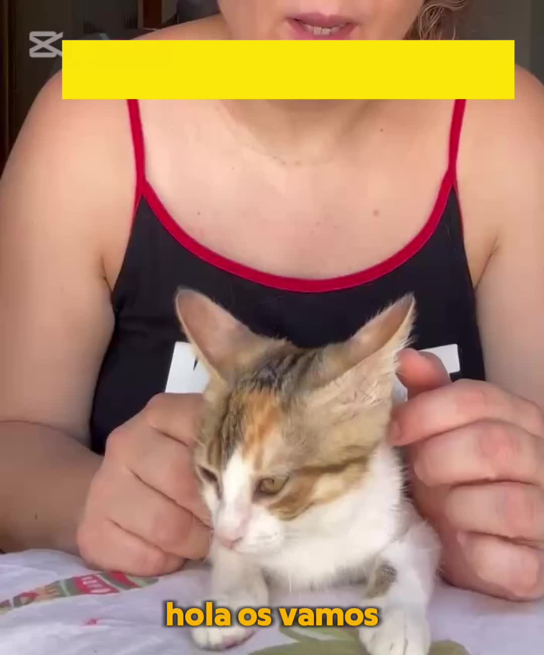 @enGatadas