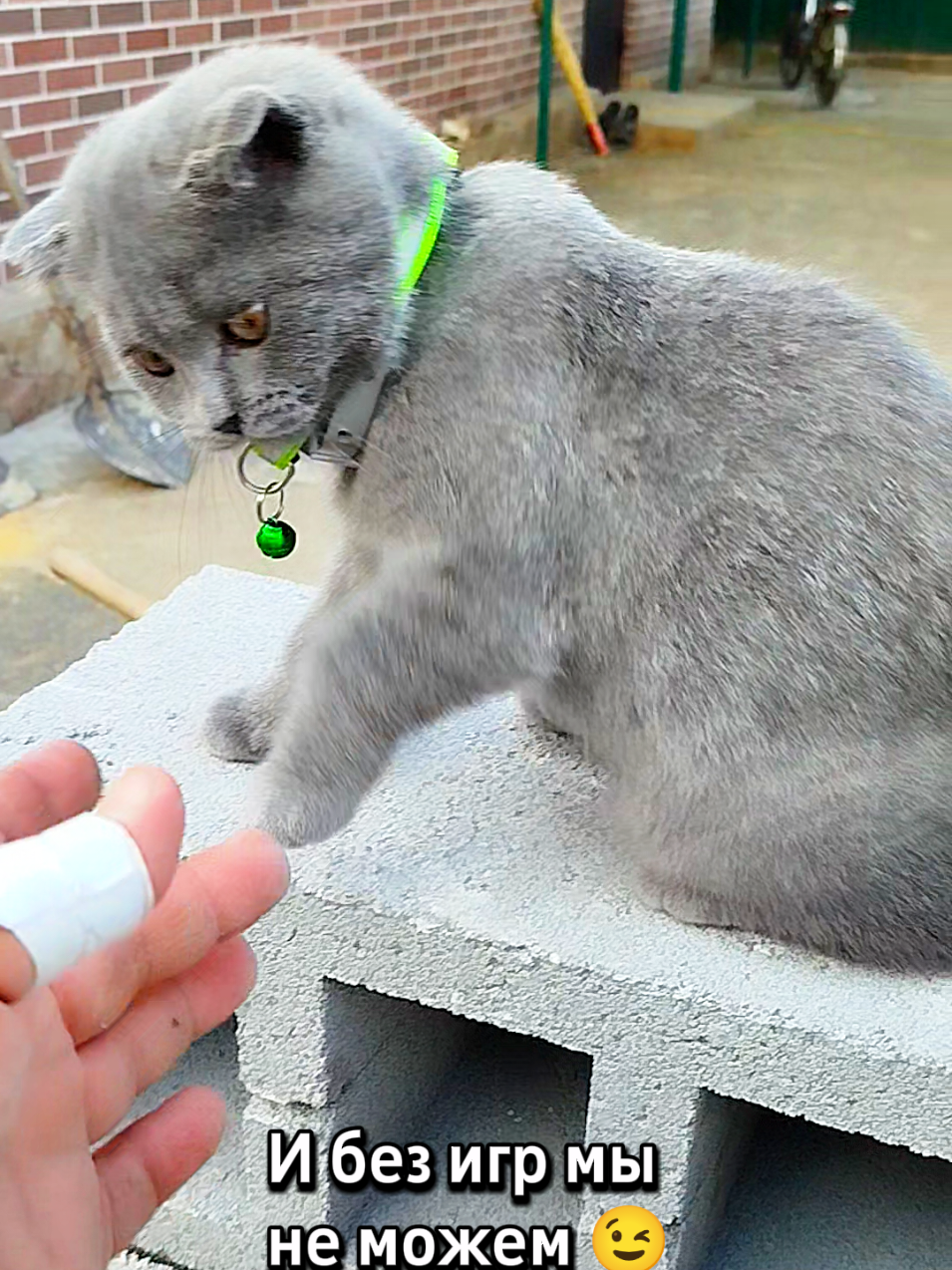 @😻Риччи&Джесси🐈Масик👼&Андрей