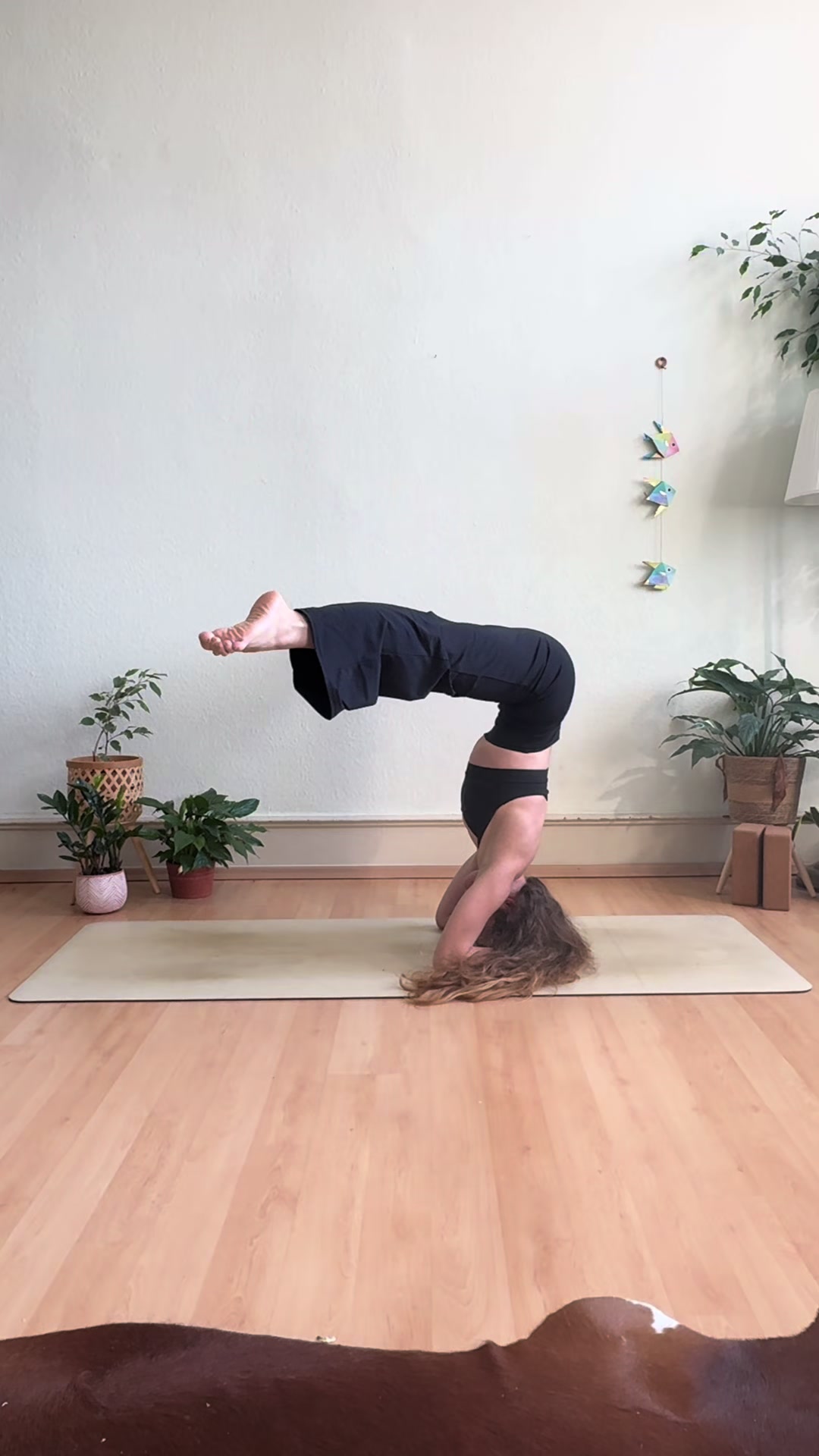 @Marla Moon Yoga 🌒