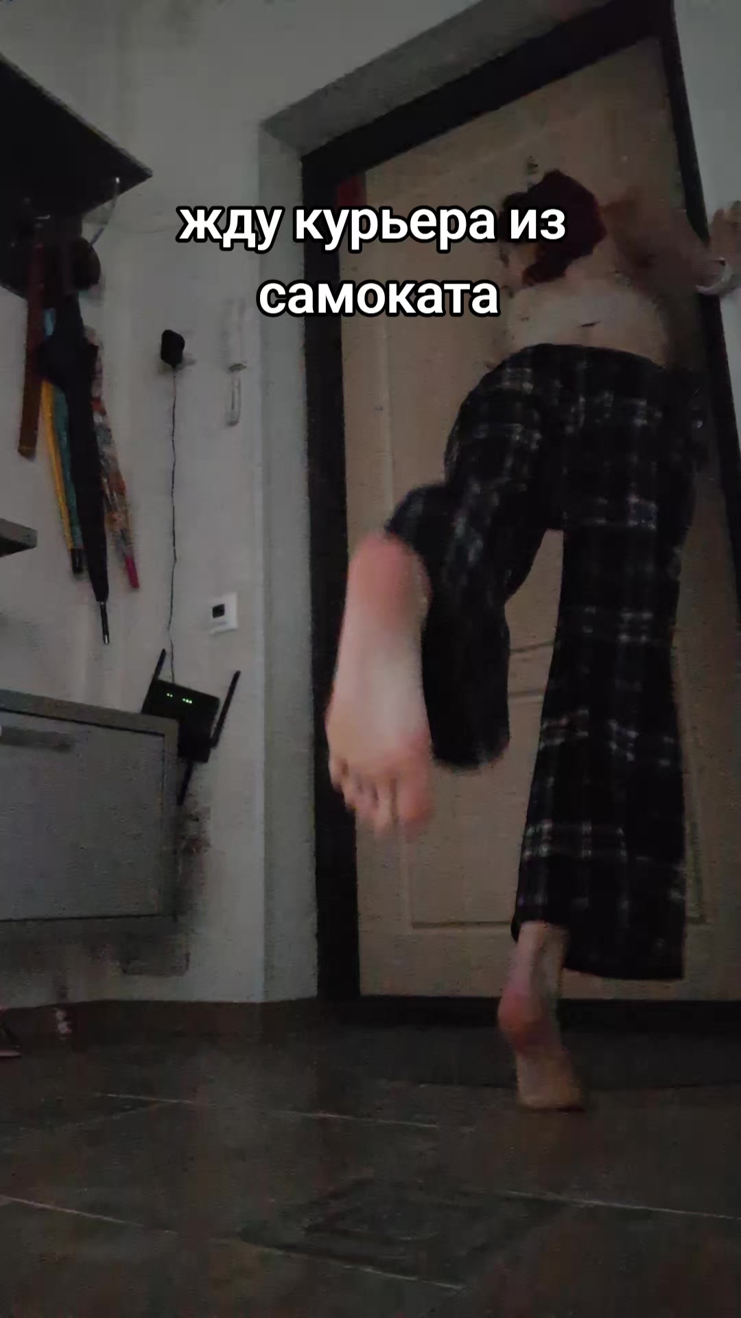 @сова(≡^∇^≡) フΨ