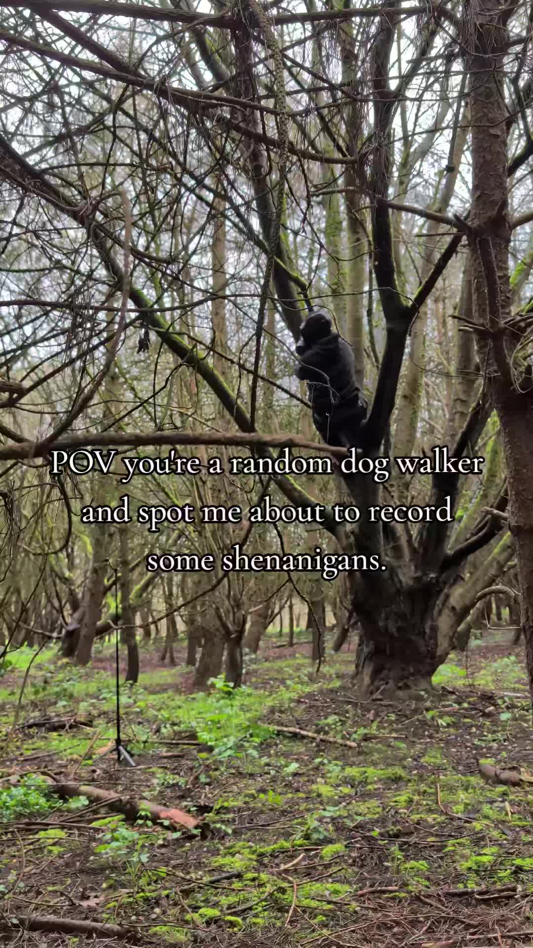 @MrG__