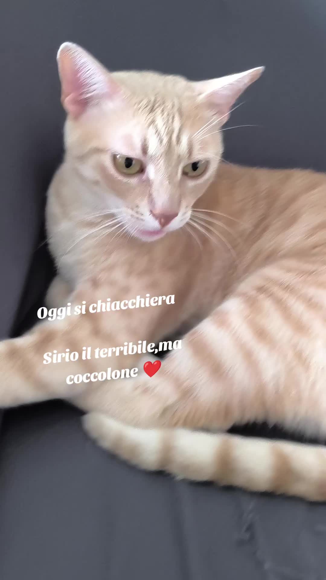@Pina