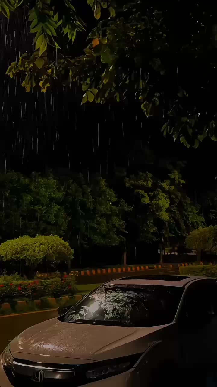 @𝙈 𝘼 𝘼 𝙃 𝙄🕊️&bull;