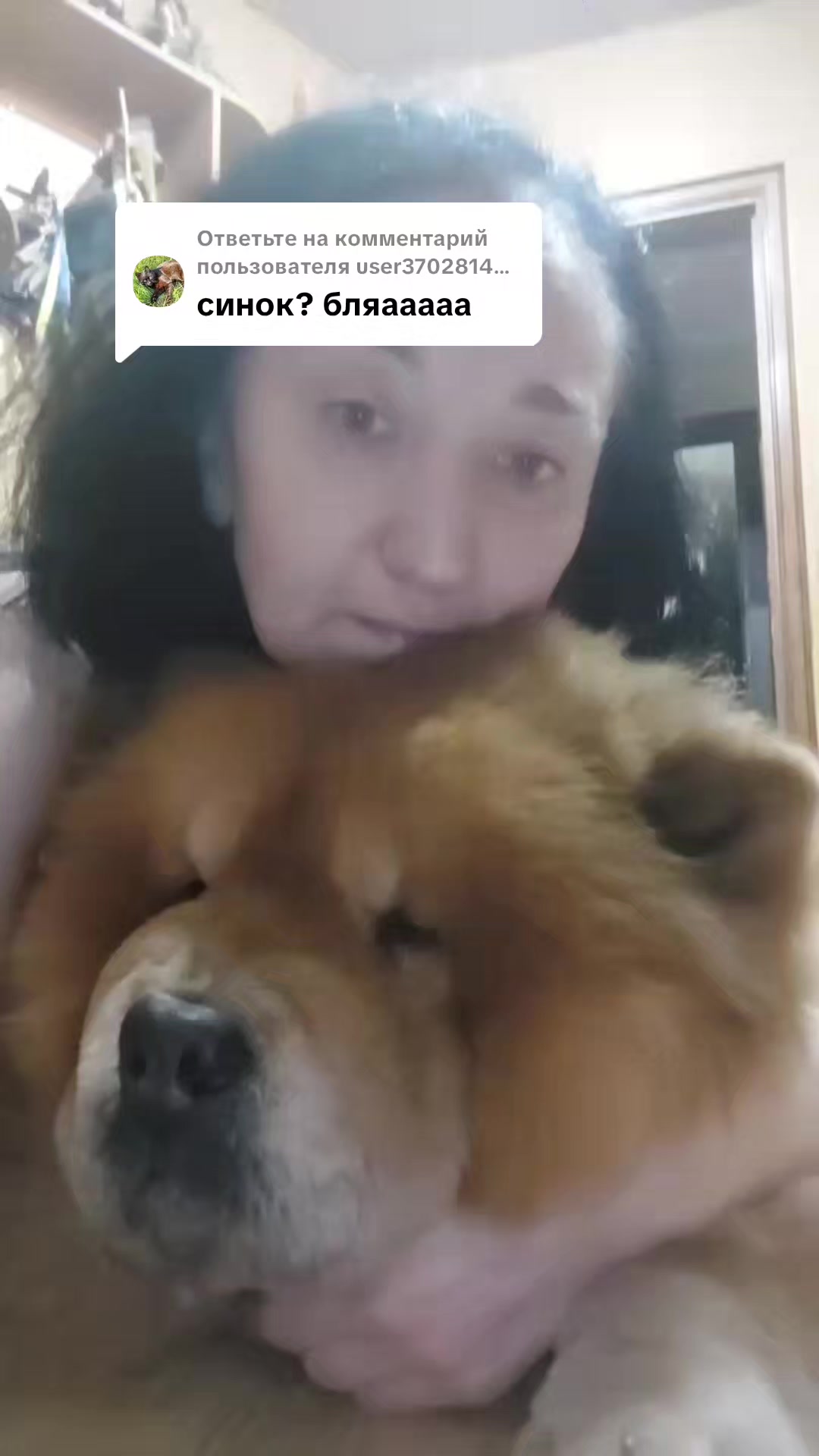 @Чау чау Тимоша❤️