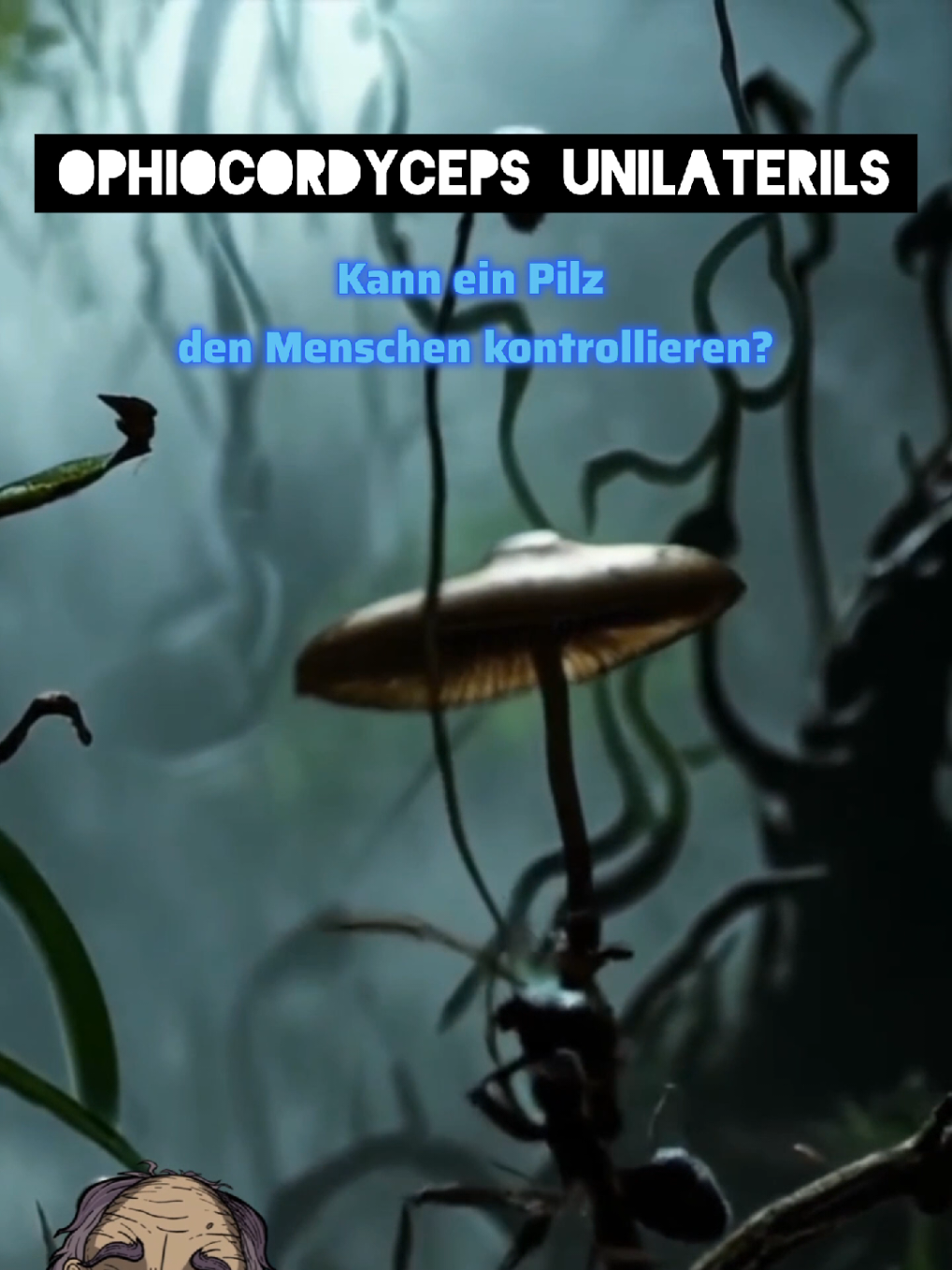 @R&auml;tsel der Vergangenheit