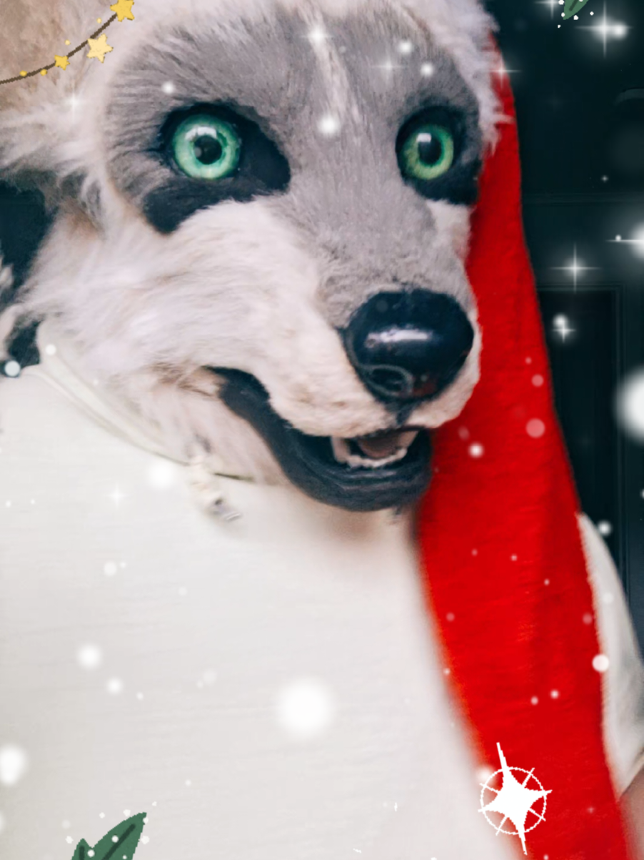 @ℂ/𝕃 🌟