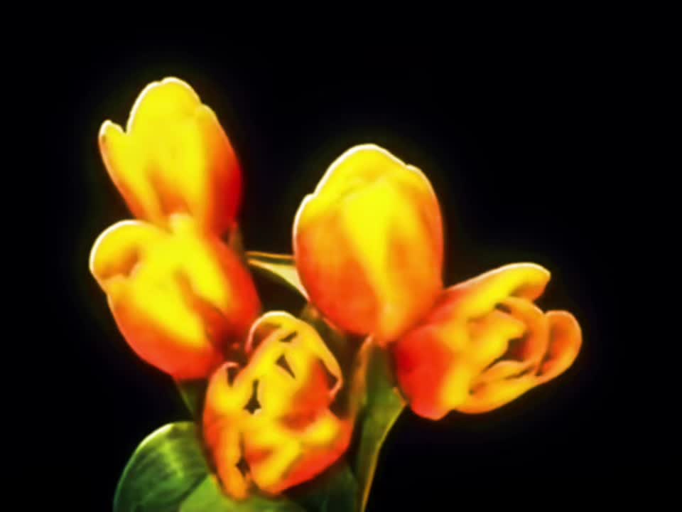 @_stripdepeche
