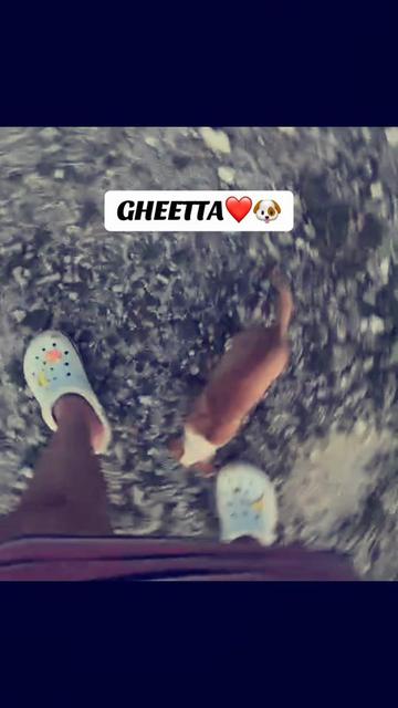 @🎀