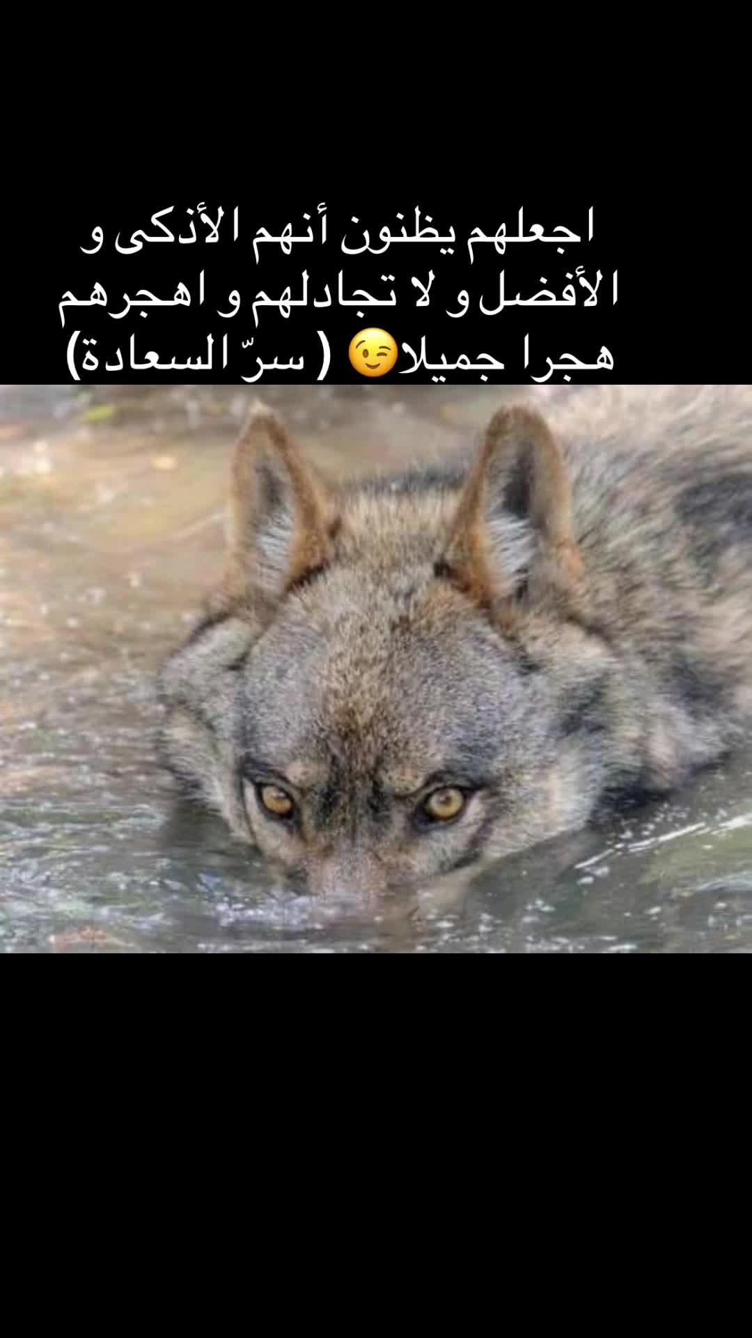 @kamel khazri احتياطي✅