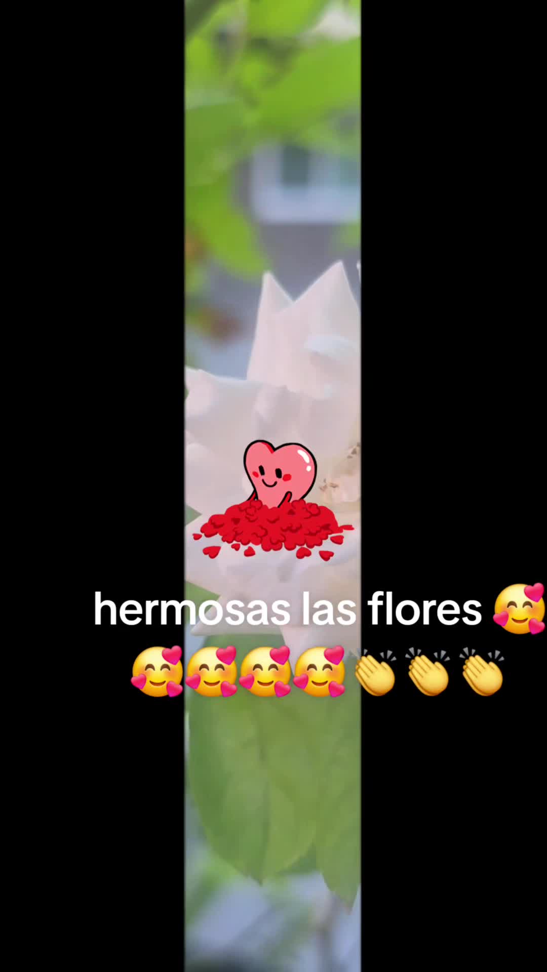 @Fanny Hernandez
