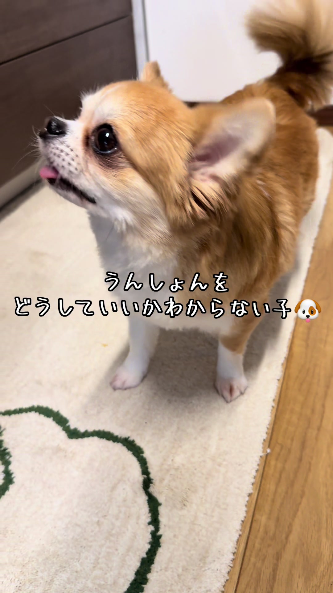 @心太