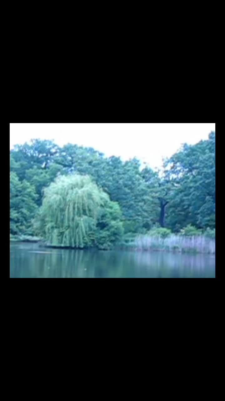 @trytrytrytrytryagain