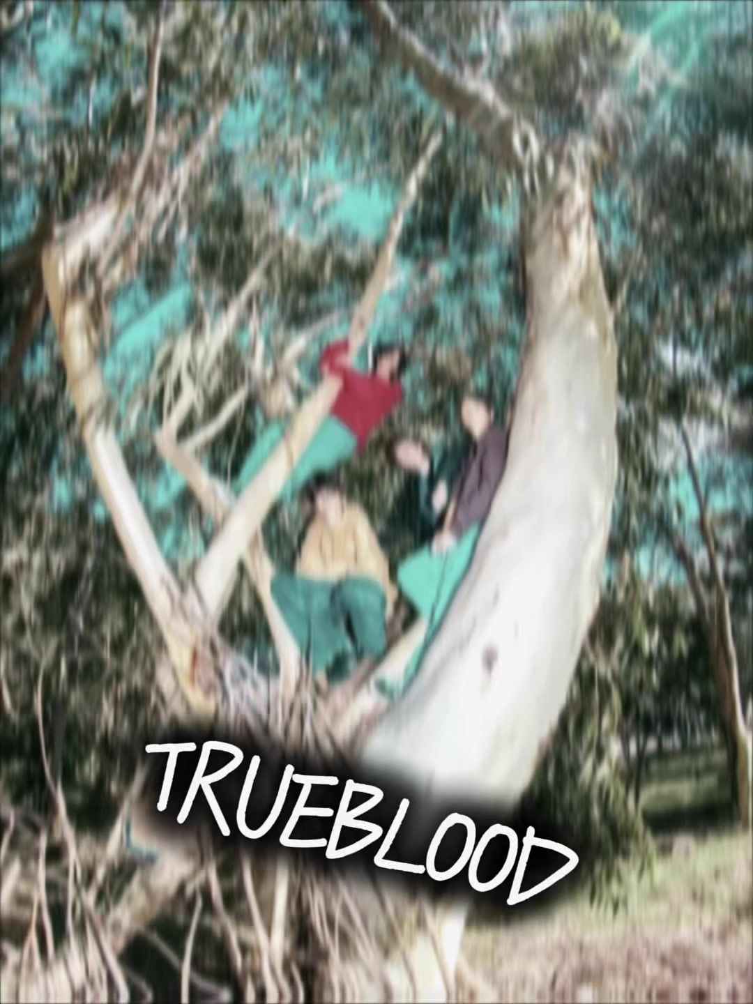@🎸Trueblood for life🎸