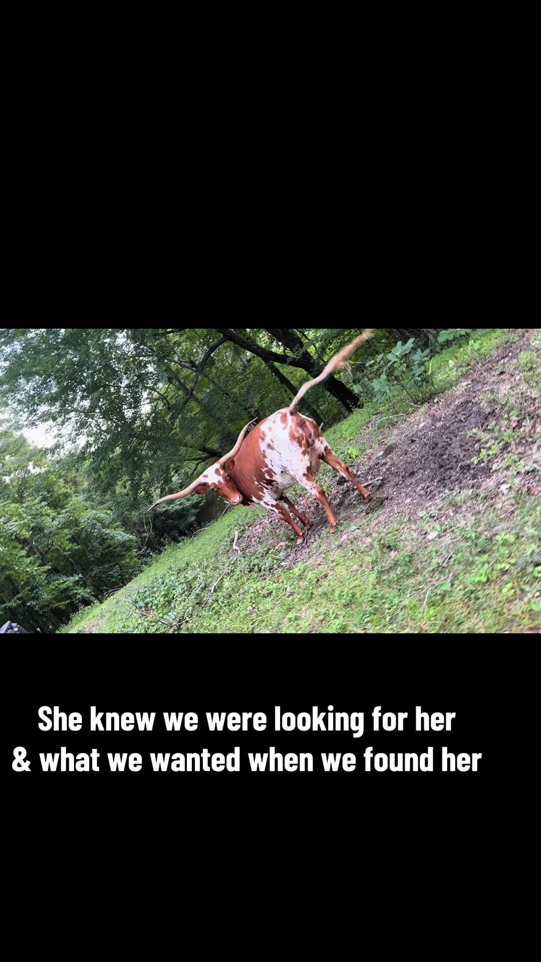 @wildflowers421