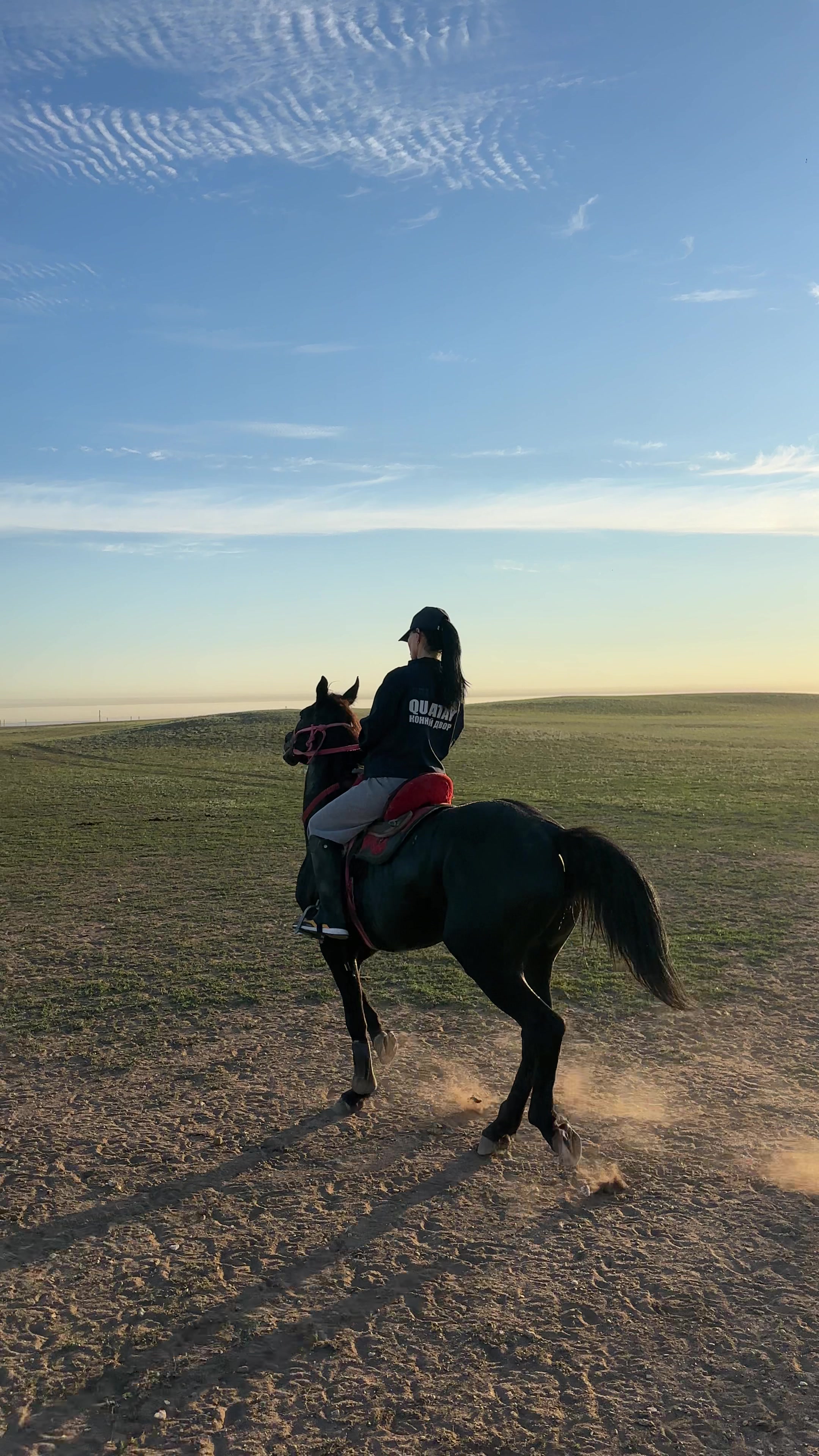 @NAZEKA🐎