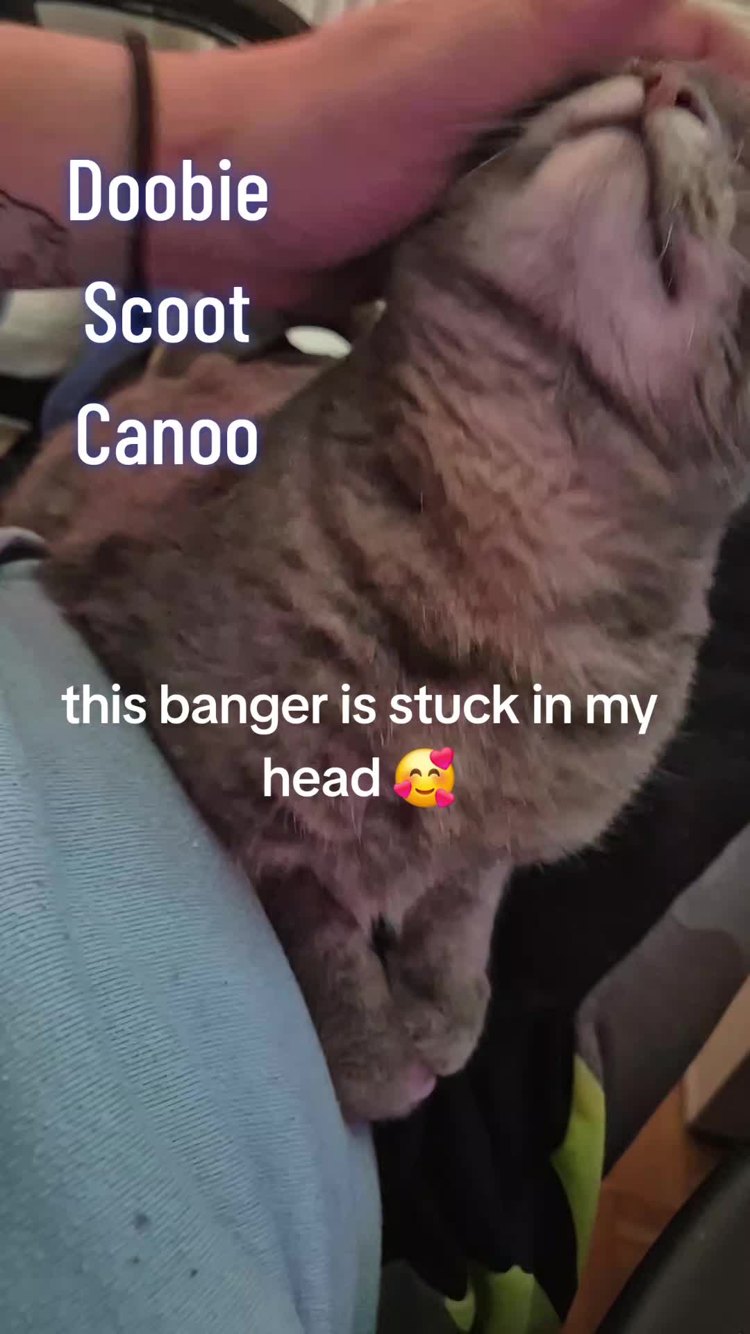 @Bachler95