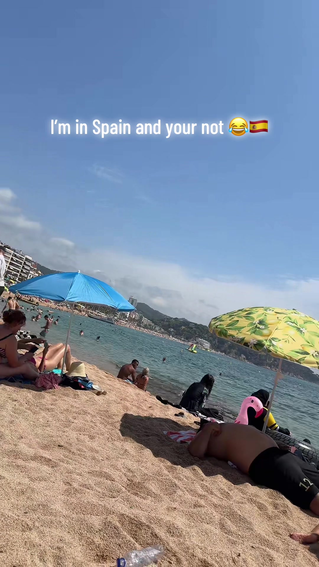 @LanaBanana🍌