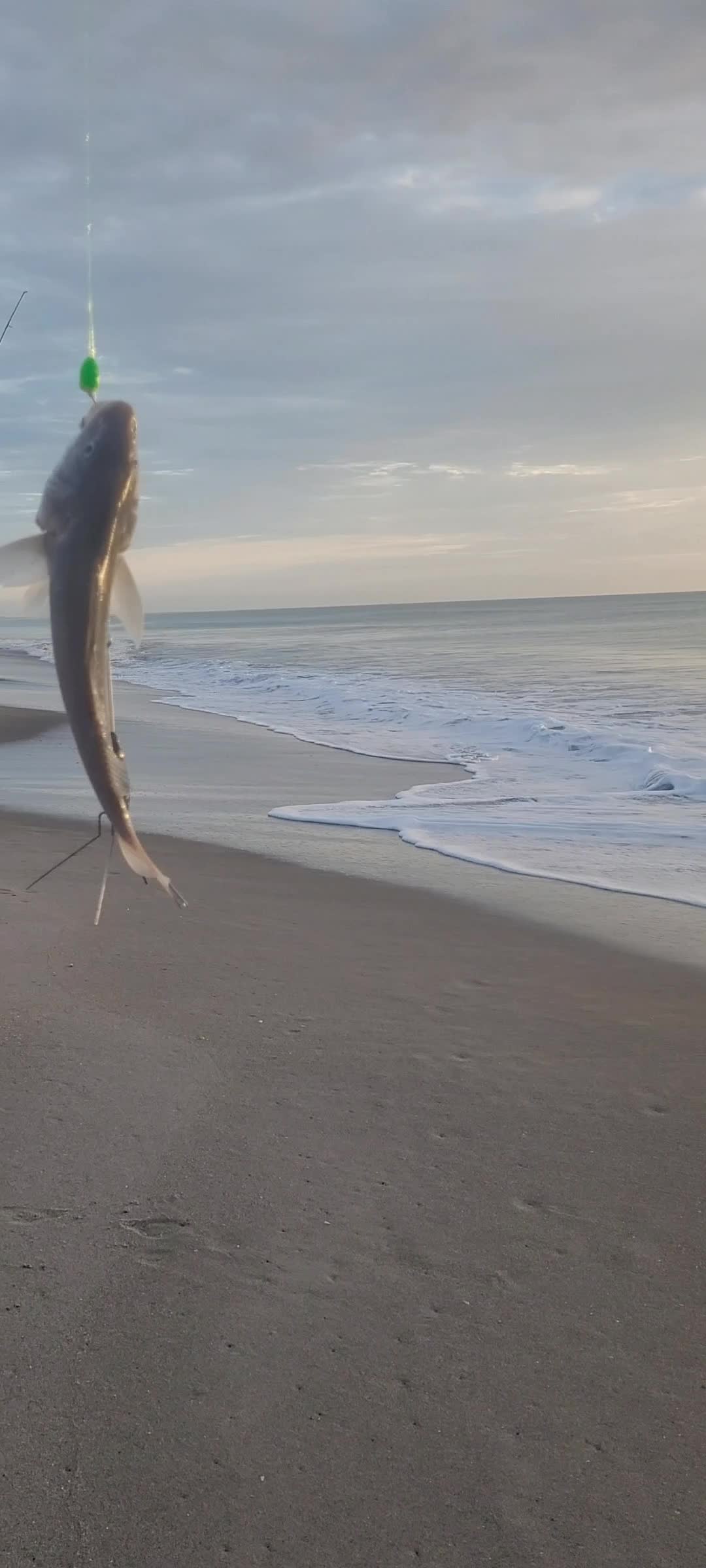 @Ghost of Space Coast Fishing
