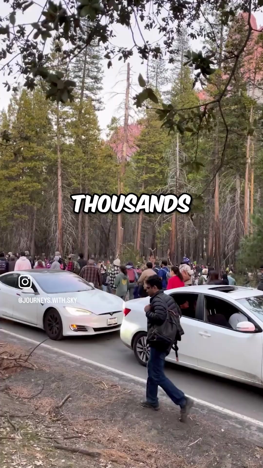 @gio583666c7