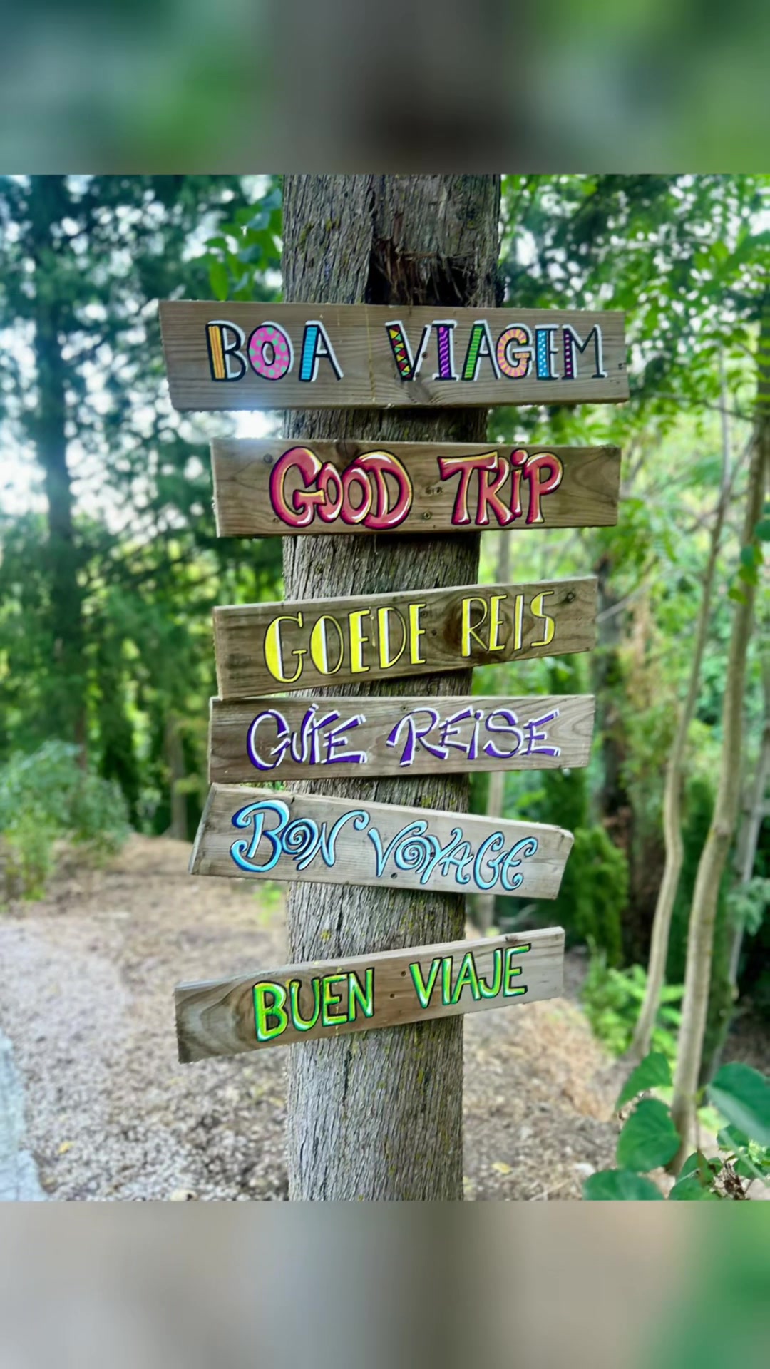 @Beita.staywild