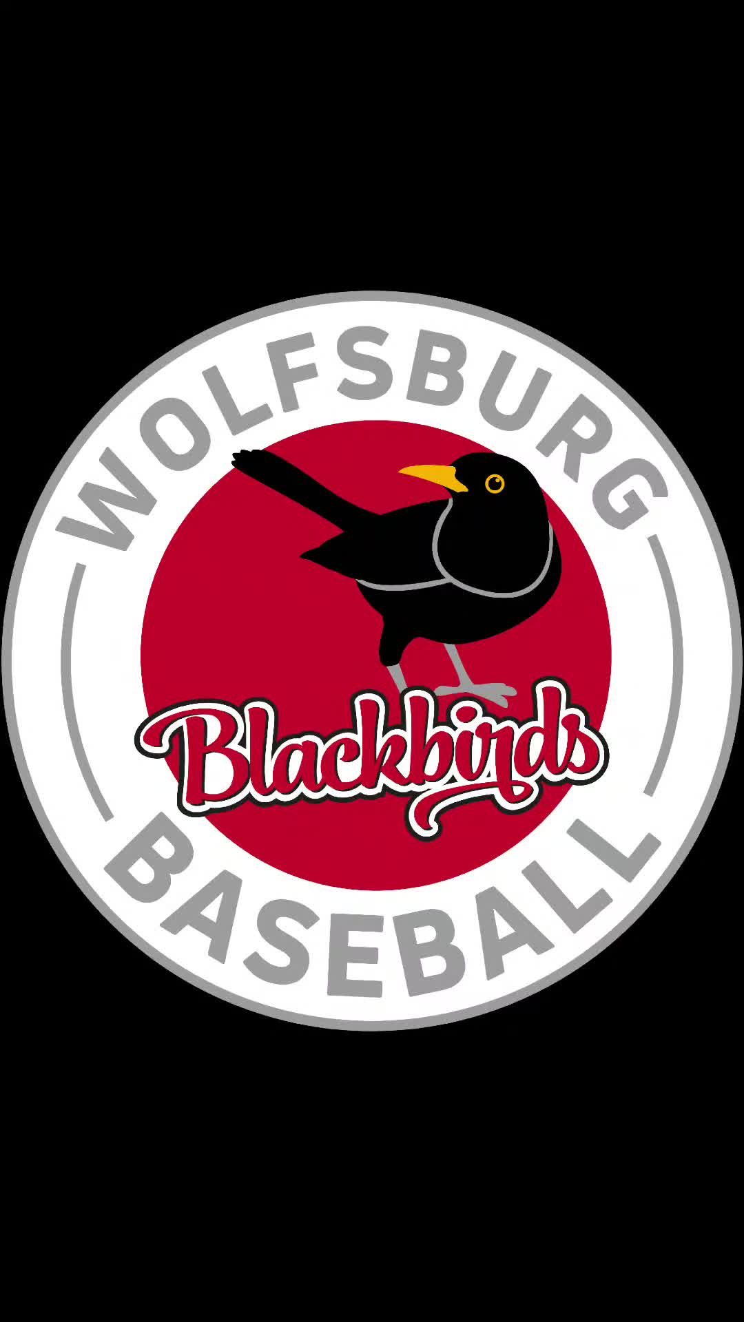 @blackbirds_wob