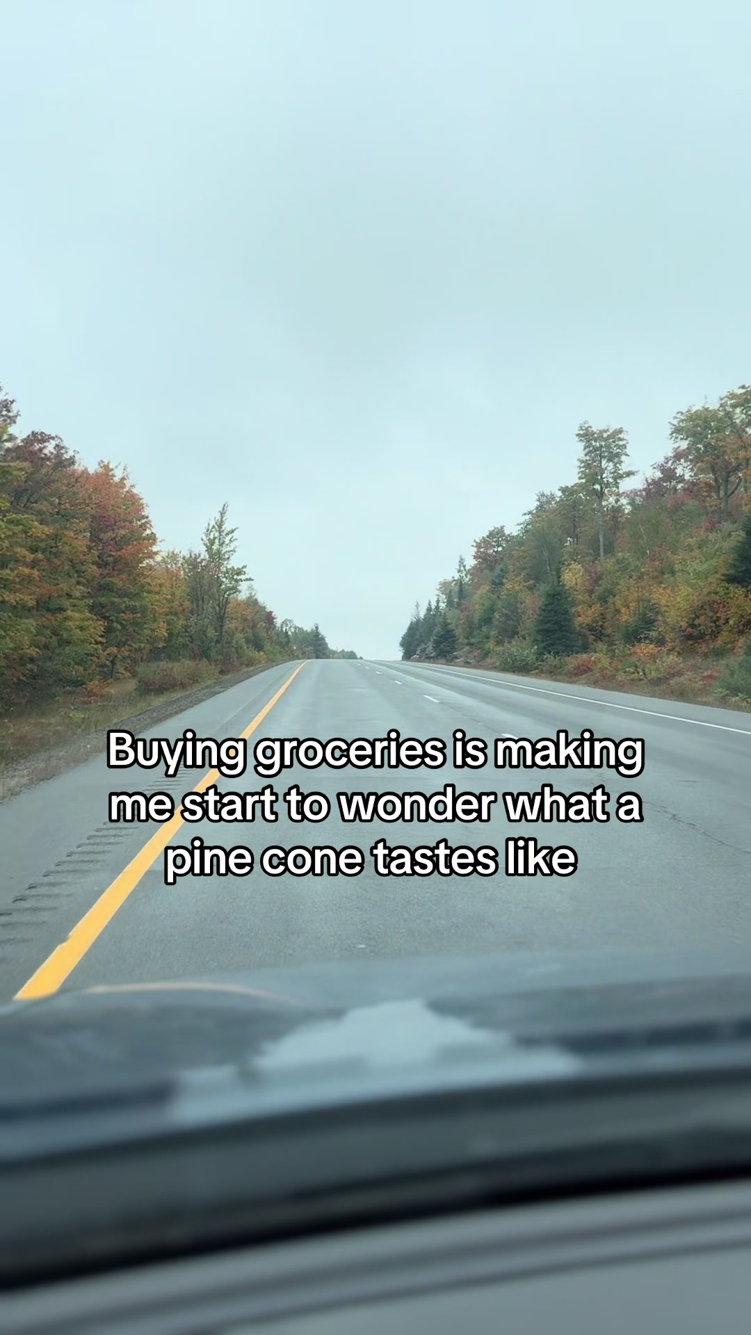 @Missy & Nate 🇨🇦