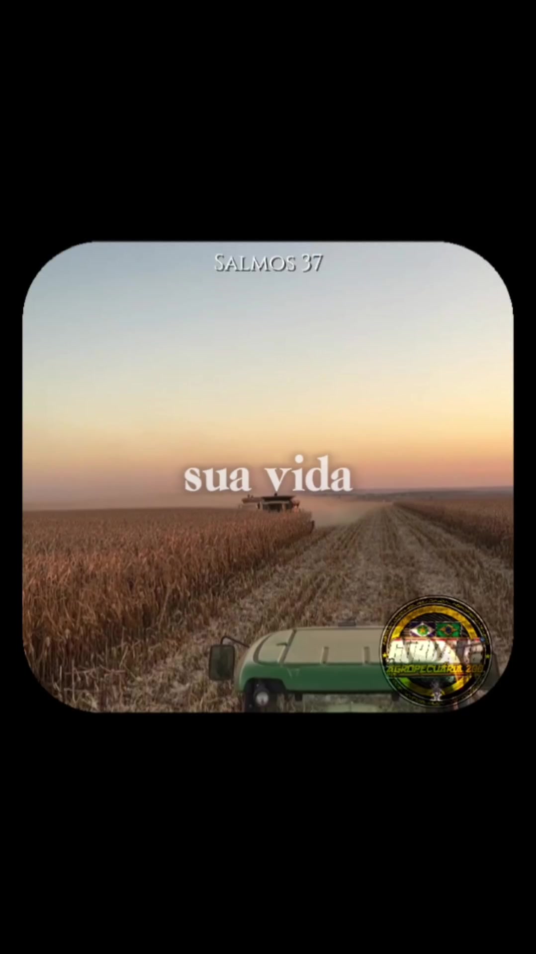 @gurizada_da_agropecuária