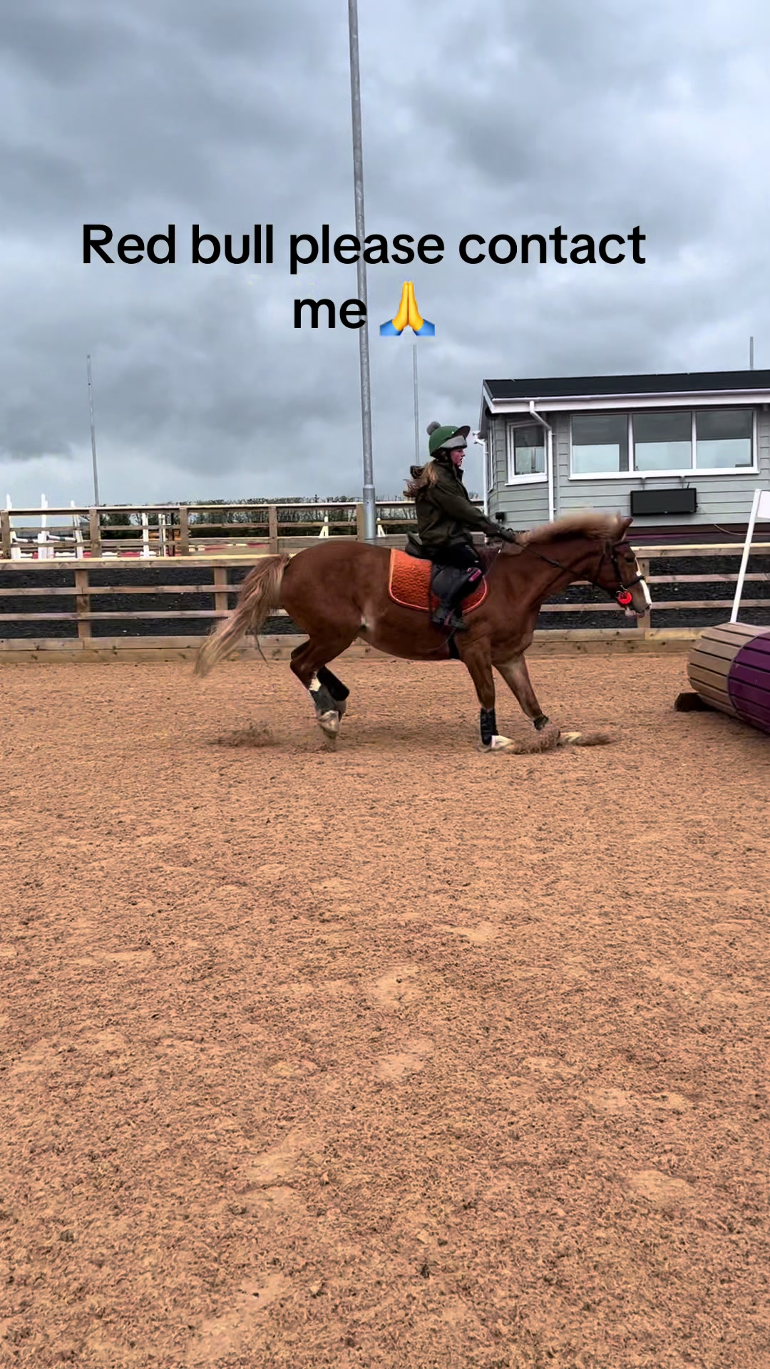 @Ellie 🐴🏎️