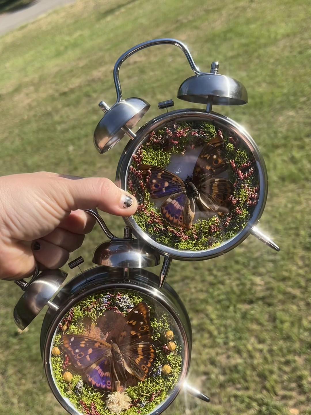 @Half Moon Crystals & Oddities