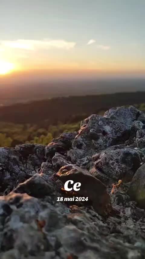 @Adam🇲🇫🇹🇳