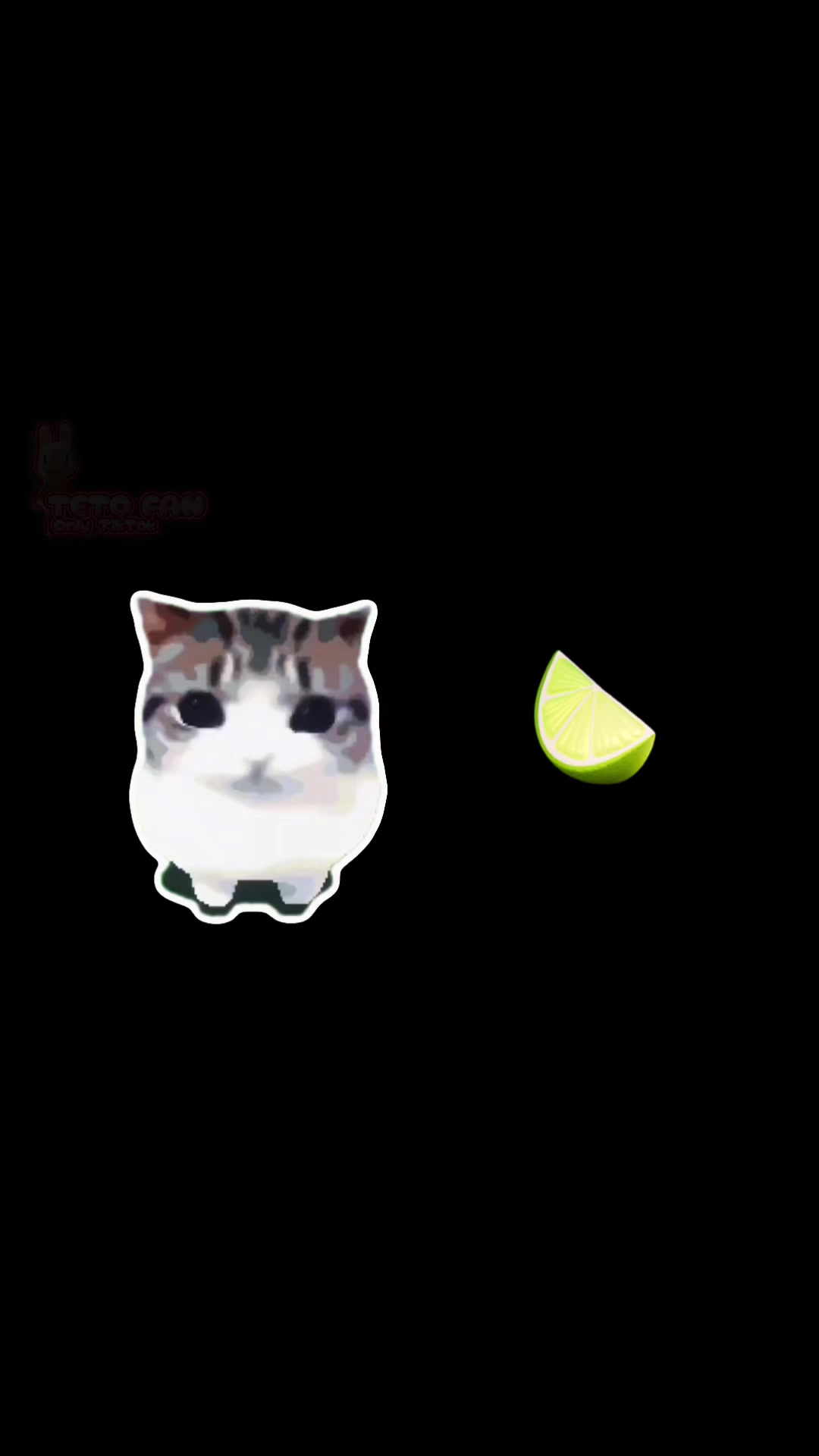 @Execution__TETO