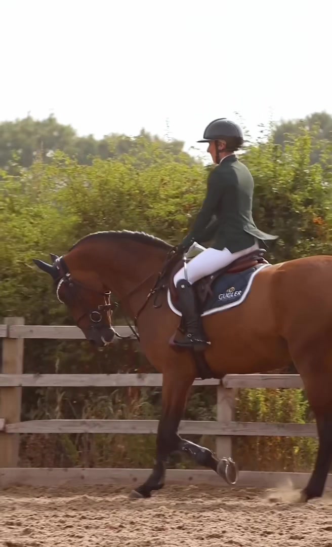 @Lucy Struthers Horses