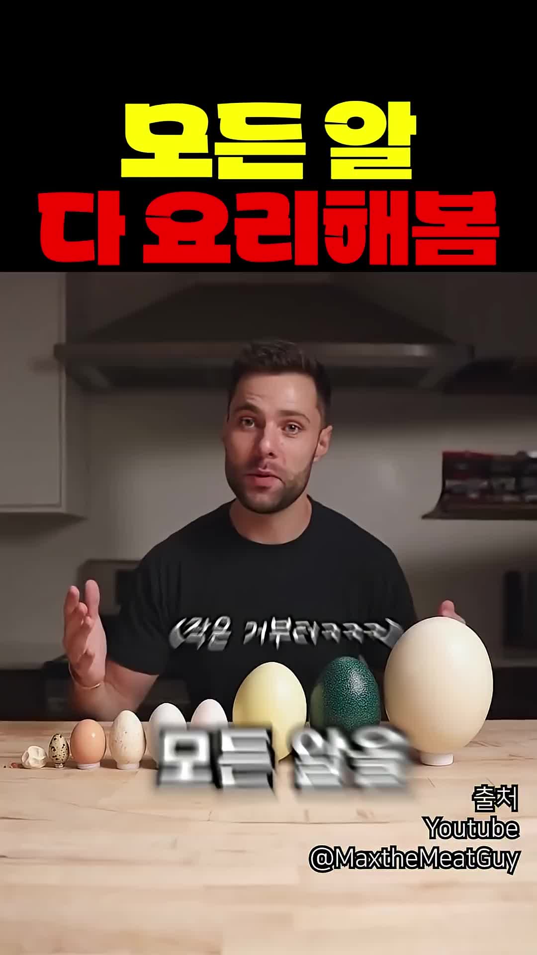 @짱아까미