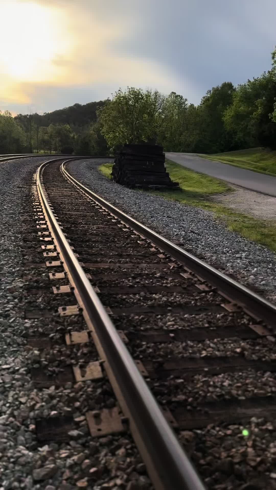 @blackout_coyote