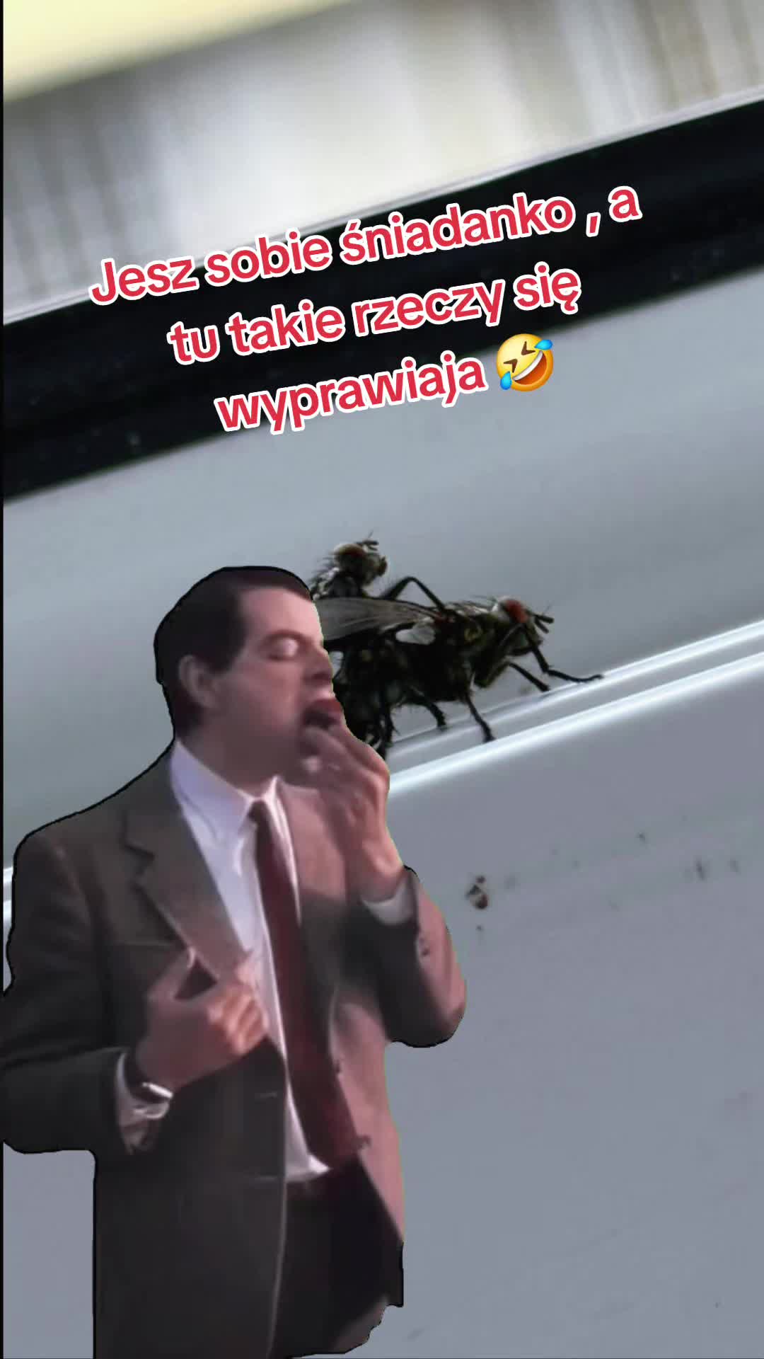 @ᴰʲ𝘼𝙉𝘿𝙍𝙐 ˢᵉᵛᵉⁿᵗʸ ⁿⁱⁿᵉ 🔹️