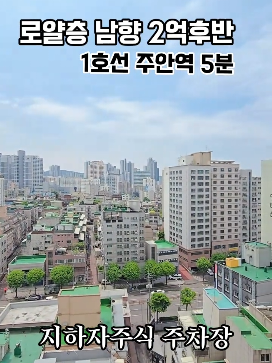 @박소연 ❤️OIO.9665.8881