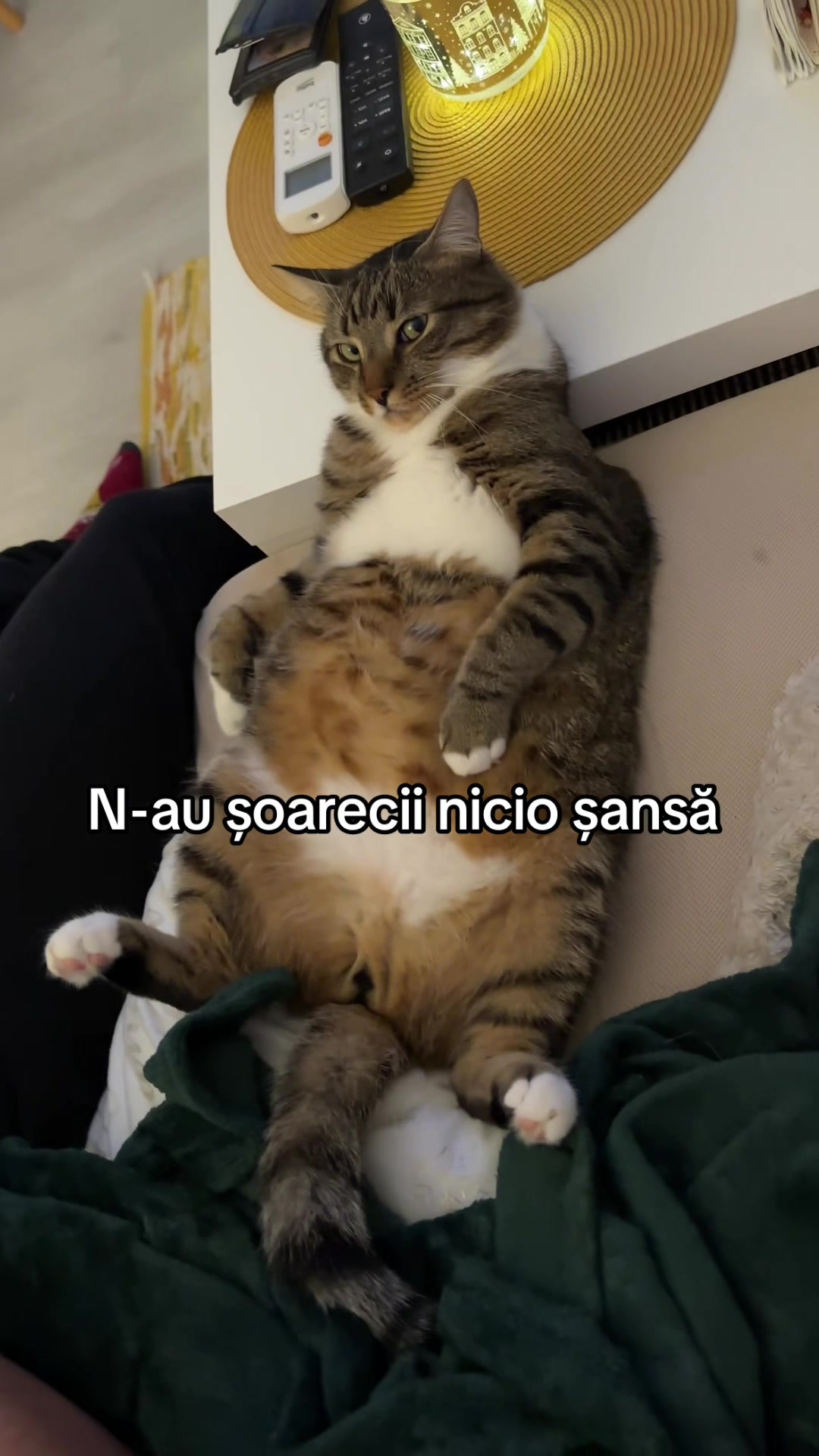 @Crets Anca