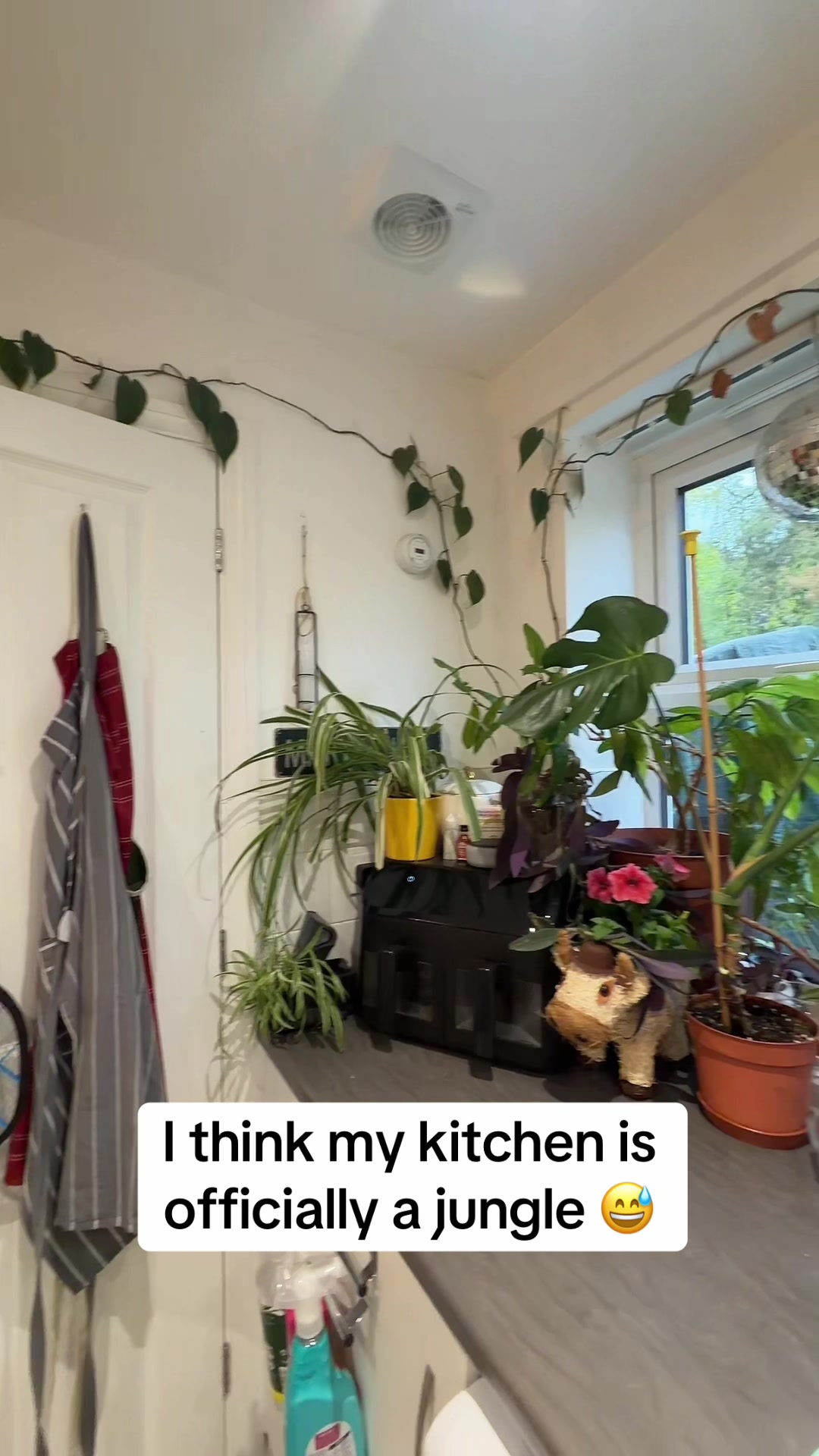 @thatplasticplantgirl