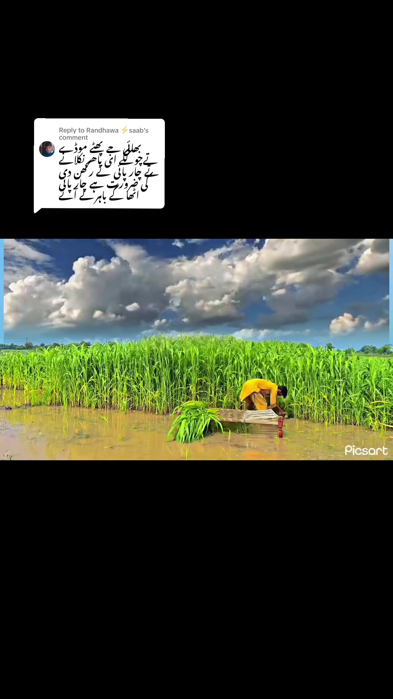 @UMAIR WARRAICH ✌️🥷