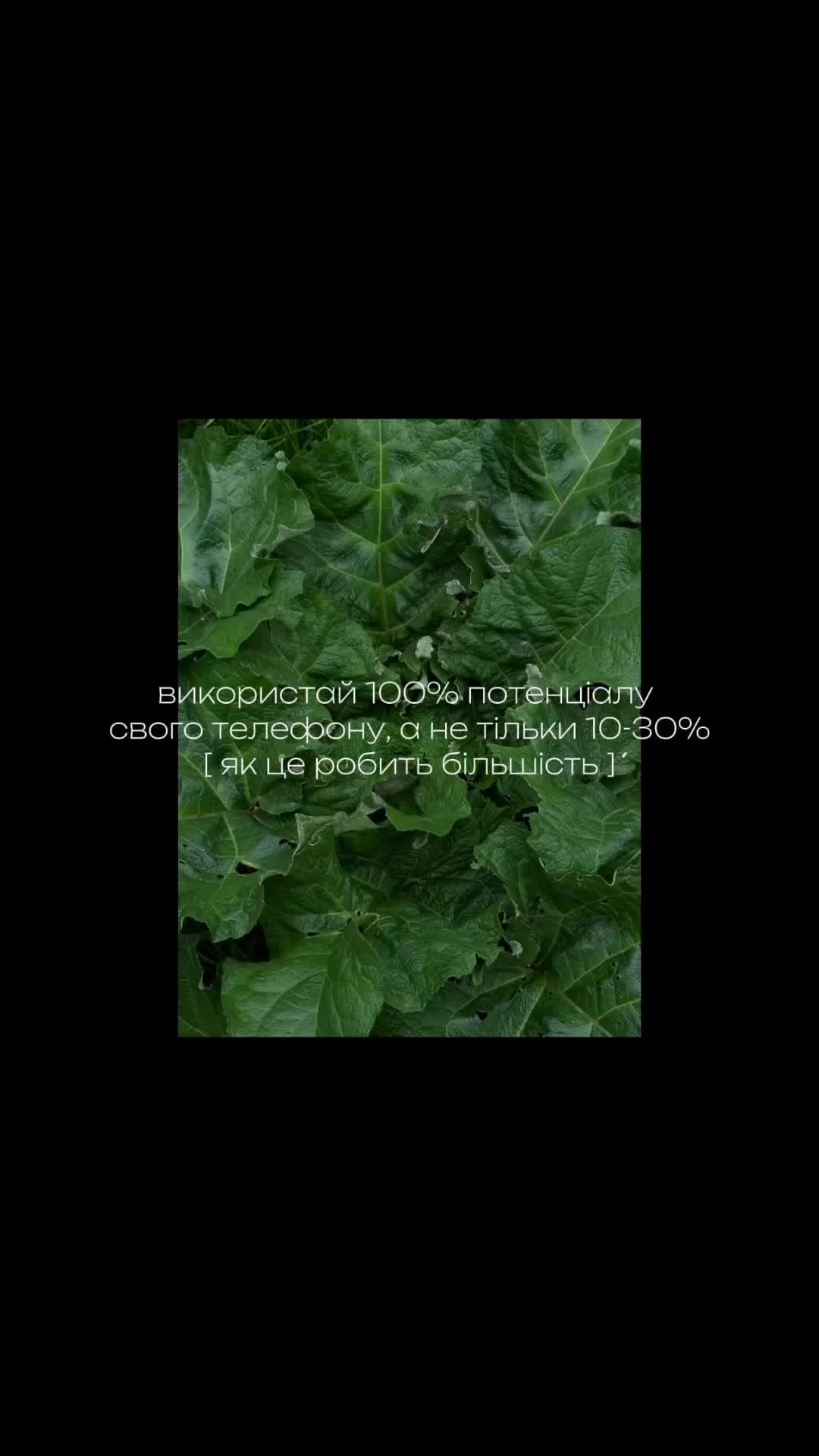 @📽️ ig: yariczek