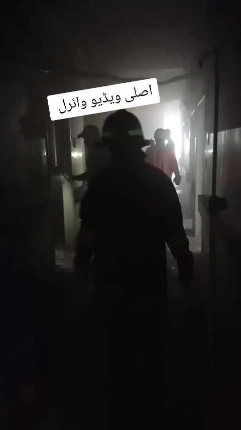 @zahidali4701