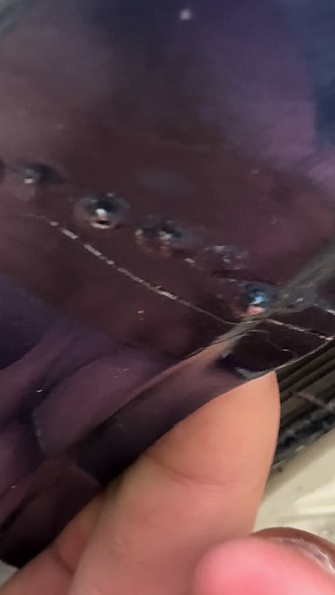 @BlueMaxiLevin