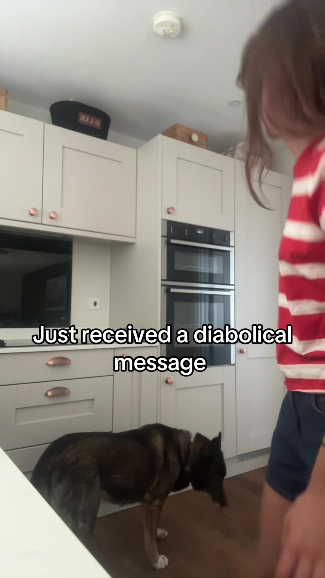 @sasha.mann